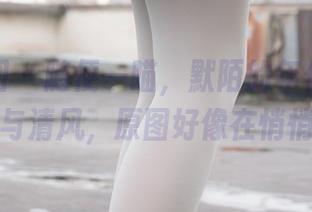 森萝财团 - 随便一瞄，默陌的年代里全是白衬衫与清风，原图好像在悄悄说话。