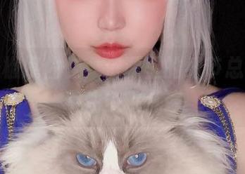 泳池与椒妮佐仁，资源里的细节总让我忍不住多瞧几遍